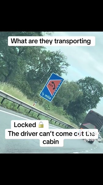 Eagle Transport: Insights into Army Logistics