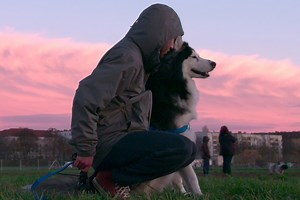 Netflix's 'Dogs': All About This Endearing New Docu-series