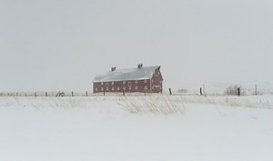 Storm 'Barney' hits Ireland, brings darkness
