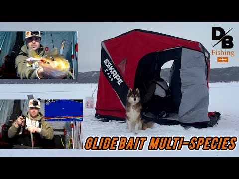 GLIDE BAIT WALLEYE! | ICE FISHING IN ESKIMO ESKAPE 2400| LIVESCOPE FOOTAGE!