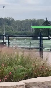 FSN report. ICE was spotted at a soccer field, 1675 Old Schaumburg Rd, Schaumburg IL 60173 (Olympic park) at 4:00 PM. ICE fue visto en un campo de fútbol, 1675 Old Schaumburg Rd, Schaumburg IL 60173 (parque Olímpico) a las 4:00 PM. | HP/Stream RRT