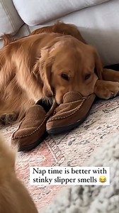 198K views · 21K reactions | It Stinks So Good! | Tucker Budzyn | Facebook