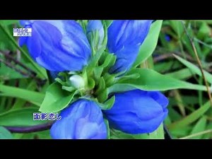 高原の宿（歌、尺八用カラオケです）