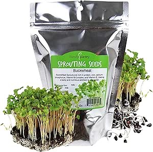 Bulk Organic Buckwheat Sprouting & Microgreens Seeds – 1 LB – Unhulled, Non-GMO – High-Germination Seeds for Fresh Sprouts, Nutritious Micro Greens, Hydroponic Growing, and Indoor Gardening