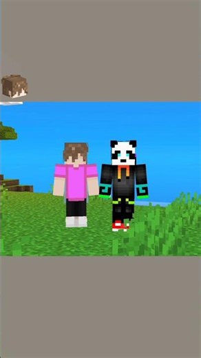Can't See Your Friend's Skin in Minecraft 😭🎮