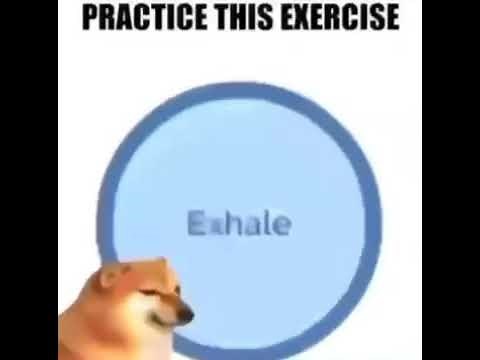 Doge Breathing Exercise