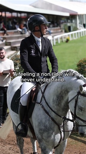 Would you believe this horse is only 7?