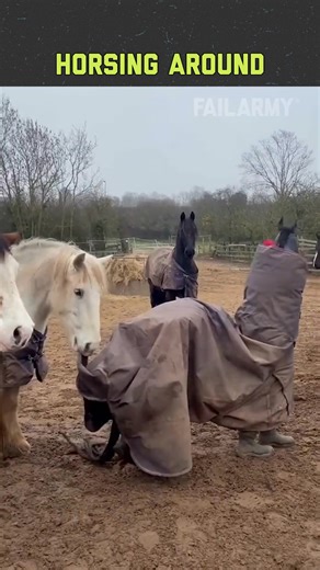 50 Pranks, 50 Fails 😂 part 9 | FailArmy