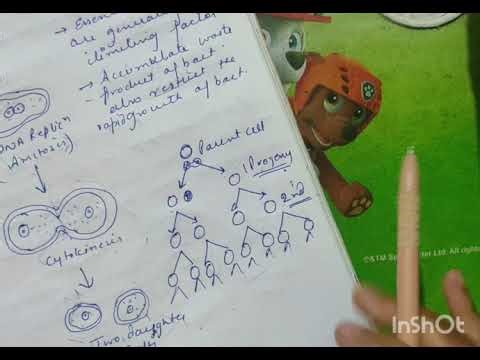 Reproduction in Bacteria- part 1