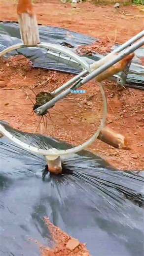 Genius Agricultural Engineering: The Wheel Seeder in Action! 🚜🌿 #farmoratv #nature #asmr