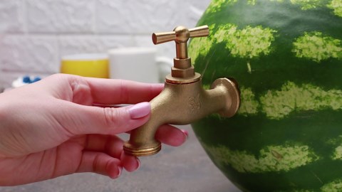 Stop Motion Cooking Make beetle mukbang salad from watermelon ASMR Unusual Cooking Funny Videos