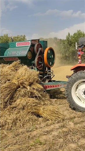 Wheat Threshers machine working complete video