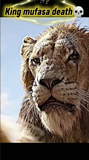 Every King had a Story, Mufasa had a Legacy💀🔥🔥||Li