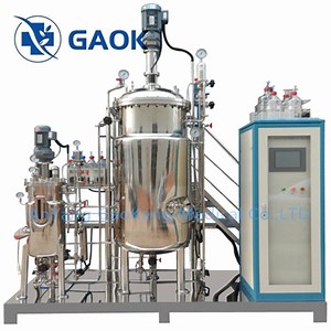 [Hot Item] Laboratory Fermenter Bioreactor Stainless Steel Pharmaceutical Bioreactor Solid State Fermenter