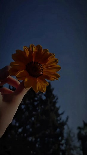 Perfecta — letra y significado del clásico de Miranda