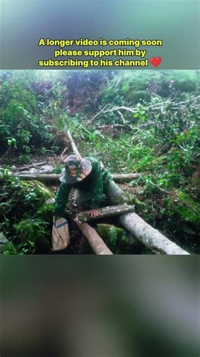 He's building a ladder to the new roof on a tree trunk #ladder #roof #treehouse #woodworking #asmr