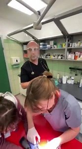 22K views · 1.4K reactions | Seba, Doktor Anetka i D. Aga i Doktor...