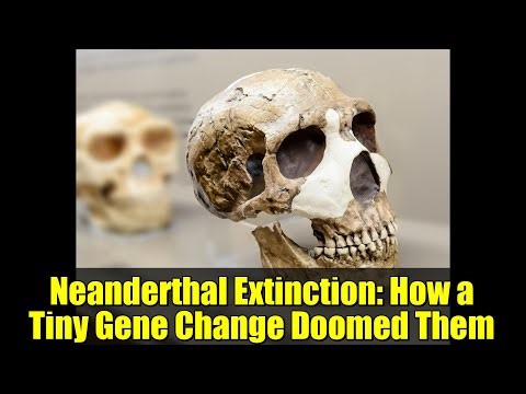 Neanderthal Extinction: How a Tiny Gene Change Doomed Them
