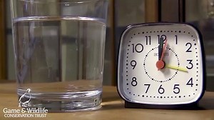 6.6K views · 38 reactions | The Eley Hawk Eco Wad dissolving in water within 24 hours @gamewildlifeconservationtrust #ecowad #cartridge #shootingtimes | Shooting Times & Country Magazine | Facebook