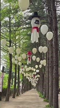[가평 남이섬/드라마♡겨울연가♡촬영지. 그당시 넘 재미있게 시청한 드라마.