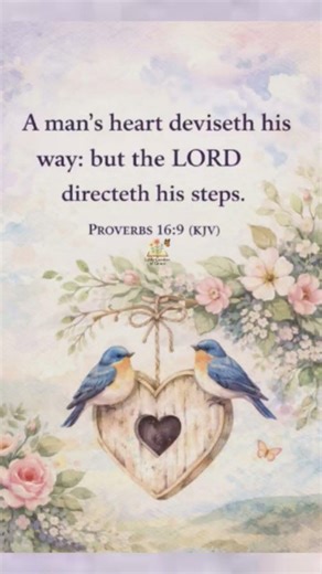 Proverbs 16:9 ✝️🦋