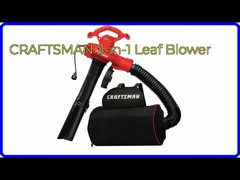 REVIEW (2025): CRAFTSMAN 3-in-1 Leaf Blower. ESSENTIAL details.