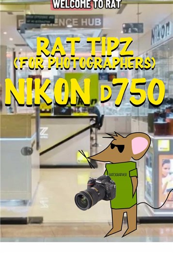 Rat Tips for Photographers, Part 16 📸🐀 The Nikon D750 by @Nikon USA which is a great Nikon camera for beginners! #nikon #nikoncreators #nikonphotography #photography101