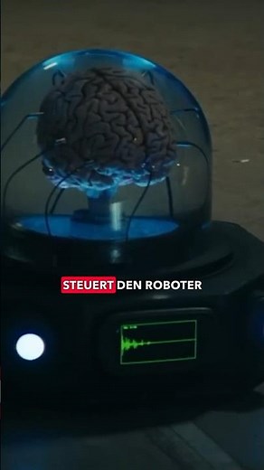 Zukunft der KI: Roboter mit menschlichen Gehirnen