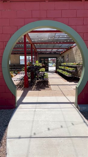 🎃 Trick or treat! We don’t have our heads in the sand — we know fall is the perfect time to plant! Getting ready to impress our Thanksgiving guests with beautiful blooms and fresh fall color! | Tom's Tree Place