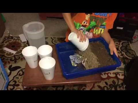 Tsunami science fair project