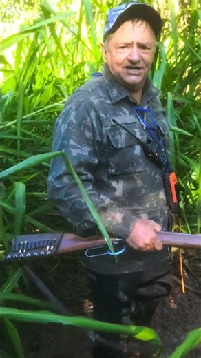 Porca de 169.00 kilo , cachorrada mestre no Java Porco