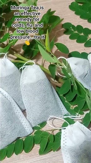 Homemade Moringa Tea ..U CAN DO IT