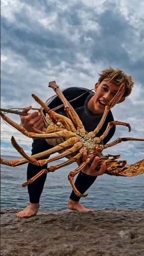Lobsters Are the Cockroaches of the Sea 🦞