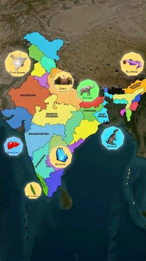 Mind-Blowing Shapes of Indian States You’ve Never Seen!