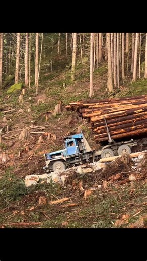 #pacific #p16 #series60 #logging | 152 The Cash