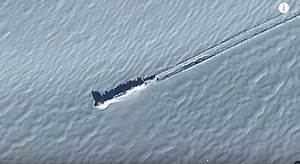 Scientists Set Record Straight on 'Crash-Landed Alien Spaceship' Spotted on Antarctica
