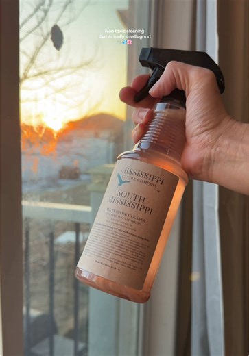 These non toxic cleaning sprayers smell so good 🤩 I had to get the 4 pack to figure out what smell I loved best. They’re all so good! #nontoxic #nontoxichome #cleaning #cleantok #tiktokshopcreatorpicks