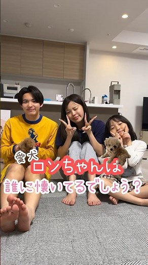 子犬のロンちゃんはだれが1番好きなのか検証してみた！！ #はるくんの部屋