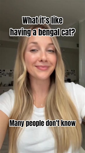 Hyperactive😭😅 #cat #cats #funny #kucing #youtubeshorts #fyp #viral #viralvideo #animals