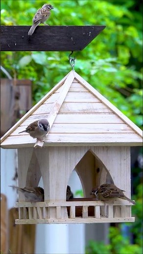 Make Your Own SUPER Cheap Bird Feeder For Under 2 Dollars #diy #crafts #birdlovers #shorts