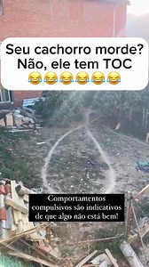 Meu doguinho tem TOC 😁😁😁😁😁 #funnydogs #cachorrosfofos #spsuperpets #doglover | Super Pets