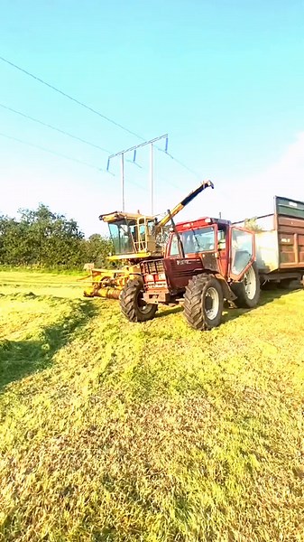 thaught id join the trend #dairyfarmer #CapCut #StemDrop001 #foryoupage #conwaydairys #nh2305 #fiat11090