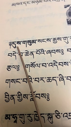 #foryoupage#goviral #followme #trending #fyp #followmytiktokacc❤️ #himalayanbuddhism #himalayanbuddhism #@Sonam Rumba A @koshis lobsang waiba @लेकाली मैच्यङ @Riya Syangbo 🦋❤️ #voiceeffects