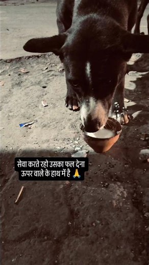 सेवा ही धर्म है 🕉️🕉️#shorts