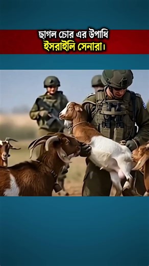 Israeli Soldiers Mocked After Goat Theft Incident Goes Viral