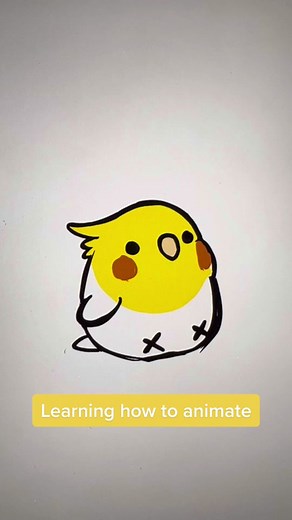 Playful Cockatiel Animation: When the SEEB kicks in