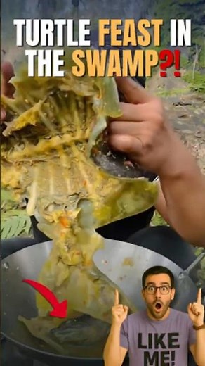 He Eats a Softshell Turtle from the Swamp! You Won’t Believe This Meal