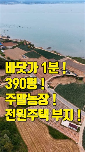 전남토지 #1950 [무안 부동산] 바다 조망권 확보된 390평 토지 매매 / 2차선 도로 접함, 농막 및 주말농장 강추 #광주근교토지