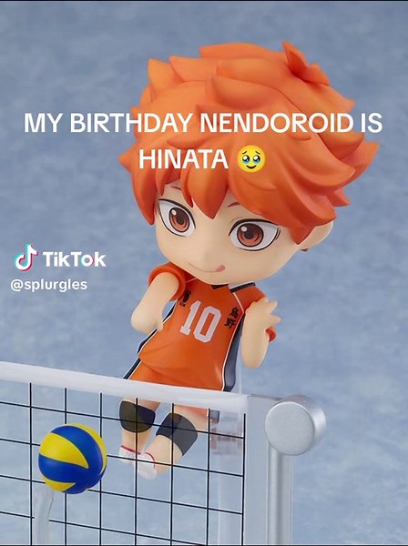 Celebrating My Birthday with Nendoroid Hinata