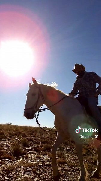 Lonesome Cowboy Blues (Mobile Video) #LonesomeCowboyBlues #CowboyBlues #WesternBlues #BluesMusic #AmericanaMusic 🎸 www.youtube.com/@talisen